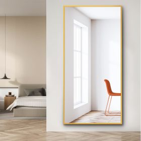 Dolonm 71x32 Inch Full Length Mirror, Modern Design Standing Floor Mirror, Full Body Mirror for Living Room, Bedroom, Bathroom, Cloakroom, Hallway, Go