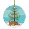 NEW Toyger Cat Christmas Ceramic Ornament Christmas Tree Hanging Decorations for Home Christmas Holiday, Party, Gift, 3 in, Multicolor