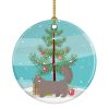 NEW Skookum Cat Christmas Ceramic Ornament Christmas Tree Hanging Decorations for Home Christmas Holiday, Party, Gift, 3 in, Multicolor