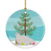 NEW White Persian Traditional Cat Christmas Ceramic Ornament Christmas Tree Hanging Decorations for Home Christmas Holiday, Party, Gift, 3 in, Multico