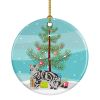 NEW American Shorthair Cat Christmas Ceramic Ornament Christmas Tree Hanging Decorations for Home Christmas Holiday, Party, Gift, 3 in, Multicolor