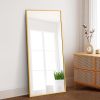 Dolonm 65x22 Inch Full Length Mirror, Modern Design Standing Floor Mirror, Full Body Mirror for Living Room, Bedroom, Bathroom, Cloakroom, Hallway, Go