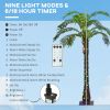 Outsunny 5' Artificial Lighted Palm Tree with 3 Coconuts, 200 LED Light, Color Changing Light Up Tropical Palm Tree with Remote for Indoor, Outdoor, P