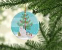 NEW Chinchilla Persian Longhair Cat Christmas Ceramic Ornament Christmas Tree Hanging Decorations for Home Christmas Holiday, Party, Gift, 3 in, Multi