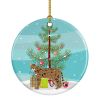 NEW Savannah Cat Christmas Ceramic Ornament Christmas Tree Hanging Decorations for Home Christmas Holiday, Party, Gift, 3 in, Multicolor