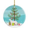 NEW Peterbald Cat Christmas Ceramic Ornament Christmas Tree Hanging Decorations for Home Christmas Holiday, Party, Gift, 3 in, Multicolor