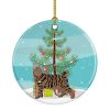 NEW Pixie Bob Cat Christmas Ceramic Ornament Christmas Tree Hanging Decorations for Home Christmas Holiday, Party, Gift, 3 in, Multicolor