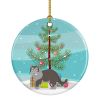 NEW Siberian Forest Cat Christmas Ceramic Ornament Christmas Tree Hanging Decorations for Home Christmas Holiday, Party, Gift, 3 in, Multicolor