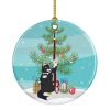 NEW American Polydactyl Cat Christmas Ceramic Ornament Christmas Tree Hanging Decorations for Home Christmas Holiday, Party, Gift, 3 in, Multicolor