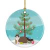 NEW Ragdoll Cat Christmas Ceramic Ornament Christmas Tree Hanging Decorations for Home Christmas Holiday, Party, Gift, 3 in, Multicolor