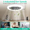 Ceiling Fan With Lights Remote Control 9.44in E27 Socket Fanlight with Dimmable Dimming Light Color Brightness 3 Fan Speed Timer Function