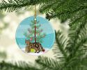 NEW Scottish Straight Cat Christmas Ceramic Ornament Christmas Tree Hanging Decorations for Home Christmas Holiday, Party, Gift, 3 in, Multicolor